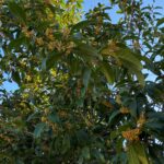 Thumbnail of related posts 084
