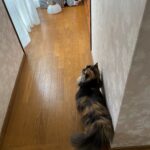 Thumbnail of related posts 000