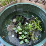 Thumbnail of related posts 092