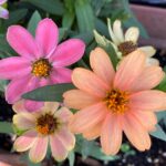 Thumbnail of post image 128