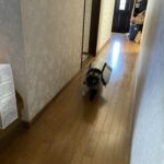 Thumbnail of post image 030