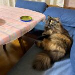 Thumbnail of related posts 070