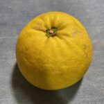 Thumbnail of related posts 074