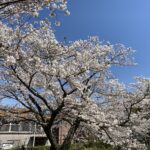 Thumbnail of related posts 196