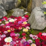 Thumbnail of post image 077