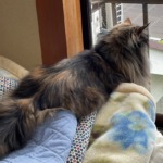 Thumbnail of post image 104