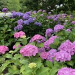 Thumbnail of post image 019