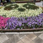 Thumbnail of post image 060